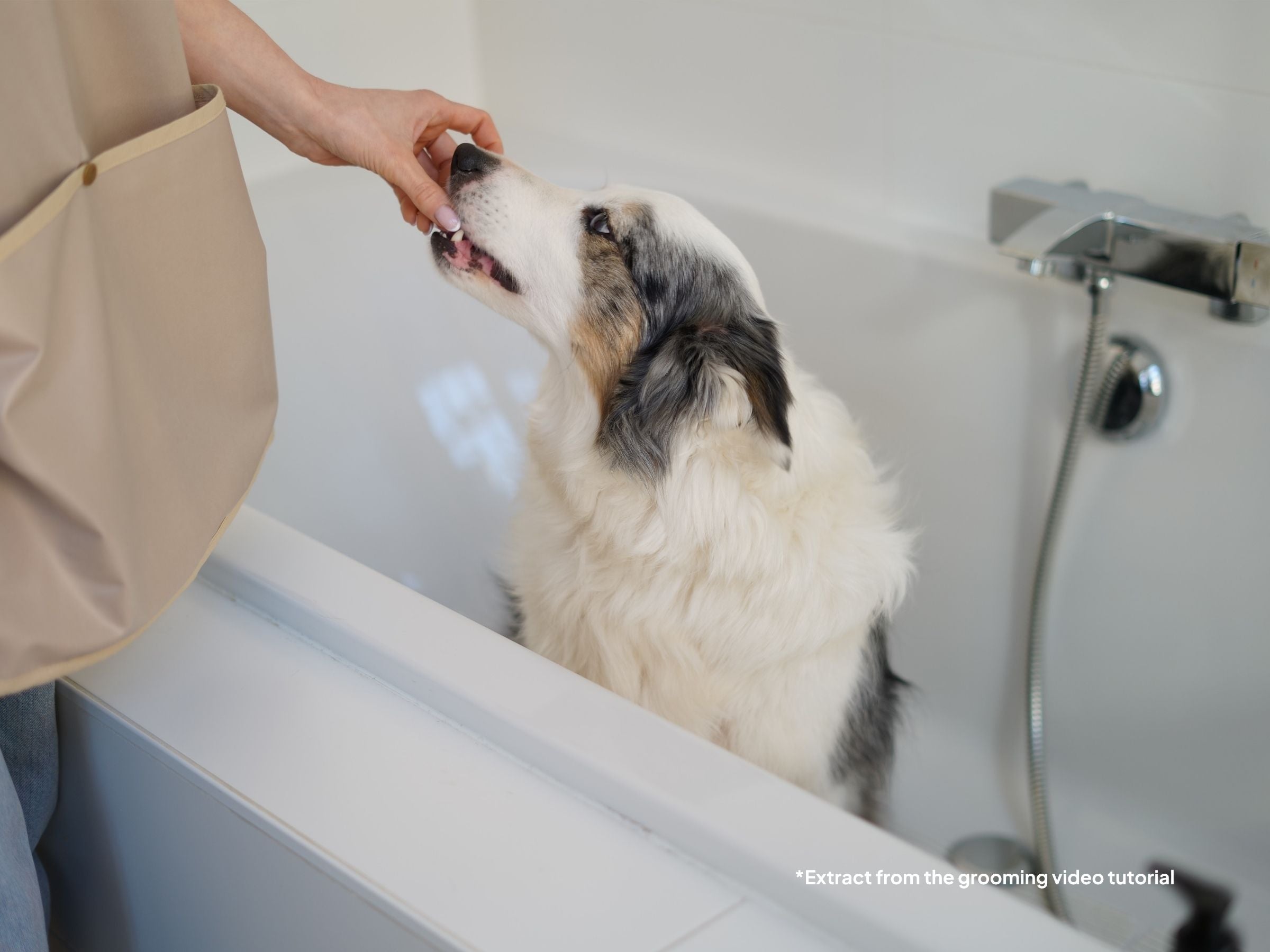 the bath kit.